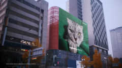 Il &quot;gatto da 200MP&quot; di Samsung. (Fonte: Samsung)