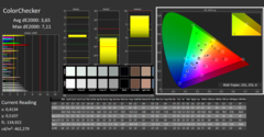 CalMAN - ColorChecker (spazio colore di riferimento sRGB)