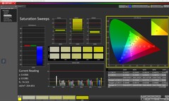 CalMAN: saturazione del colore (calibrata)