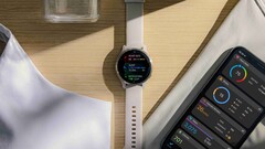 Garmin sta scommettendo sul miglioramento dell'efficienza dei suoi display OLED per smartwatch e sulla riduzione dei costi di produzione. (Fonte: Garmin) 