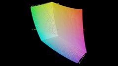 Copertura dello spazio colore (sRGB) - 98 per cento