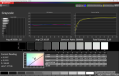 Scala di grigi CalMAN (P3)