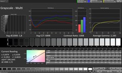 Scala di grigi CalMAN