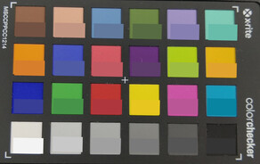 Colori ColorChecker: Il colore target si trova nella metà inferiore di ogni box.