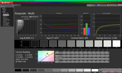 Scala di grigi prima della calibrazione (sRGB)