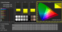 CalMAN - ColorChecker (calibrato)