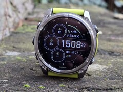 Garmin ha accesso a milioni di dati di allenamento.