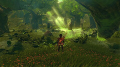 The Legend of Zelda: Breath of the Wild potrebbe essere molto più accattivante se girasse su una console più potente. (Fonte: Digital Dreams)