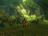 The Legend of Zelda: Breath of the Wild potrebbe essere molto più accattivante se girasse su una console più potente. (Fonte: Digital Dreams)
