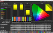 CalMAN: Colori Misti - Profilo adattivo (standard): Spazio colore target DCI-P3