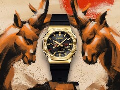 G-Shock GBM-2100CXG-9A di Casio