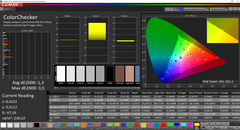 CalMAN: ColorChecker (calibrato)