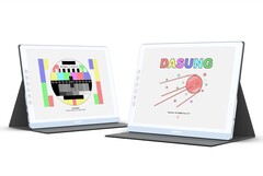 Dasung ha rilasciato un nuovo monitor e-ink a colori (Fonte: Dasung)