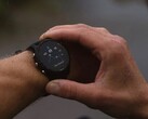 Garmin ha rilasciato la versione software 18.23 per il Forerunner 255. (Fonte: Garmin)