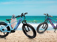 Sono state presentate le nuove versioni in edizione limitata per la California e la Florida della e-bike a ruote grasse Himiway Zebra. (Fonte: Himiway)