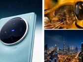 La Vivo X100 Pro convince in numerose foto campione. (Immagine: Vivo, modificata)