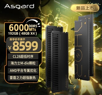 Il kit da 192 GB DDR5-6000 costa circa 1.215 dollari, un prezzo davvero interessante. (Fonte immagine: JD.com)