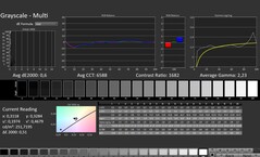 CalMAN: Scala di grigi (calibrata)