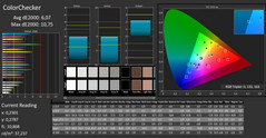 CalMAN ColorChecker calibrato