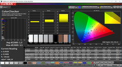 CalMAN ColorChecker (spazio colore target P3)