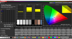 CalMAN ColorChecker calibrato (Spazio colore target P3)