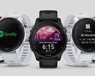 Le serie Forerunner 255 e Forerunner 955 si avvicinano sempre più a un nuovo aggiornamento stabile. (Fonte: Garmin)