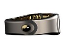 Come dovrebbe apparire il "Bond Ring". (Fonte: Bond Ring)