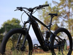 Le biciclette elettriche Frey Evolve Neo hanno una velocità massima di 40 km/h (~25 mph). (Fonte: Frey Bike)