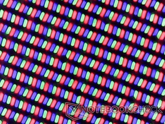 Disposizione subpixel RGB come ci si aspetta da un pannello lucido