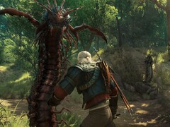 Immagine dal gioco The Witcher 3: Wild Hunt - Blood and Wine. (Fonte: Steam)