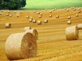Il più, il meglio non è sempre giusto - anche in agricoltura. (Immagine: pixabay/ybernardi)