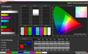 CalMAN: Spazio colore - spazio colore target sRGB