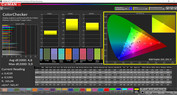 CalMAN standard precisione del colore