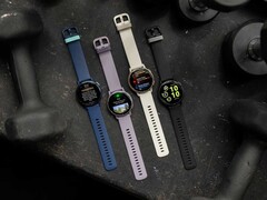 Garmin ha rilasciato la versione beta 10.08 per lo smartwatch vivoactive 5. (Fonte: Garmin)