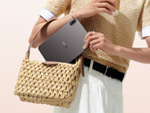Il Pad Mini parte da 699 dollari su Giztop. Nella foto: un'immagine promozionale che mostra il design posteriore e il fattore di forma compatto del tablet.