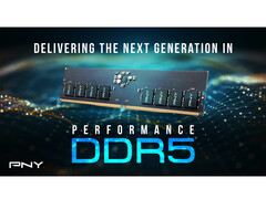 I nuovi moduli DDR5 di PNY non sembrano particolarmente appariscenti in queste immagini promozionali (Immagine: PNY)