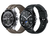 Lo Xiaomi Watch 2 Pro potrebbe essere disponibile in un'unica dimensione con un display da 1,43 pollici. (Fonte immagine: @MysteryLupin - modificato)