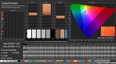 CalMAN: ColorChecker (calibrato)