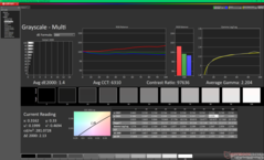 Scala di grigi dopo la calibrazione