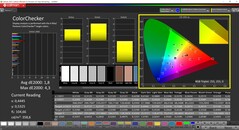 CalMAN ColorChecker calibrato (spazio colore target P3)