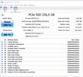 CDI PCIe SSD (240 GB)