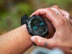 Il Fenix 8 è uno dei diversi smartwatch che possono provare la versione 20.07 del Programma Beta di Garmin. (Fonte: Garmin)