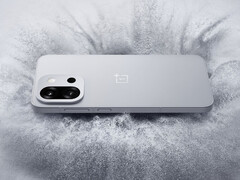 Il OnePlus 13T contiene parecchi downgrade rispetto al più grande OnePlus 13. (Fonte: OnePlus)