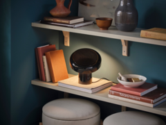 La prossima lampada altoparlante Blomprakt di IKEA (nella foto) sarà lanciata nel 2025. (Fonte: IKEA)