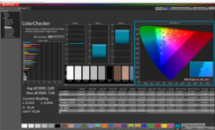 CalMAN - Color Checker (calibrato)