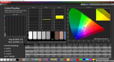 CalMAN ColorChecker (spazio colore target DCI-P3)