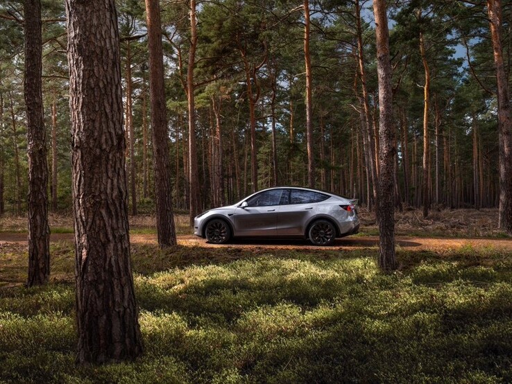 La Model Y nel camaleontico colore Quicksilver