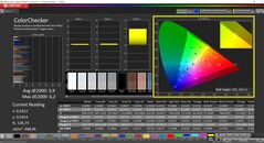 CalMAN ColorChecker (profilo: P3, spazio colore di destinazione: P3)
