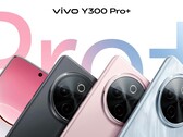 Il modello "Y300 Pro+". (Fonte immagine: Sandwich Sister via Weibo)