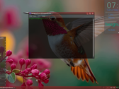 Besgnulinux 4-0 basato su Debian è ora disponibile